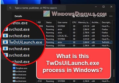 TwDsUiLaunch.exe Windows process